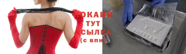 apvp Белокуриха