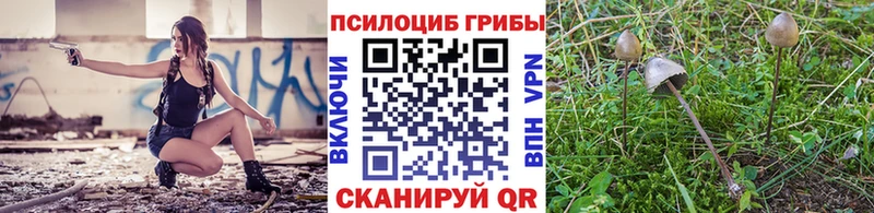 Галлюциногенные грибы мицелий  Курлово 